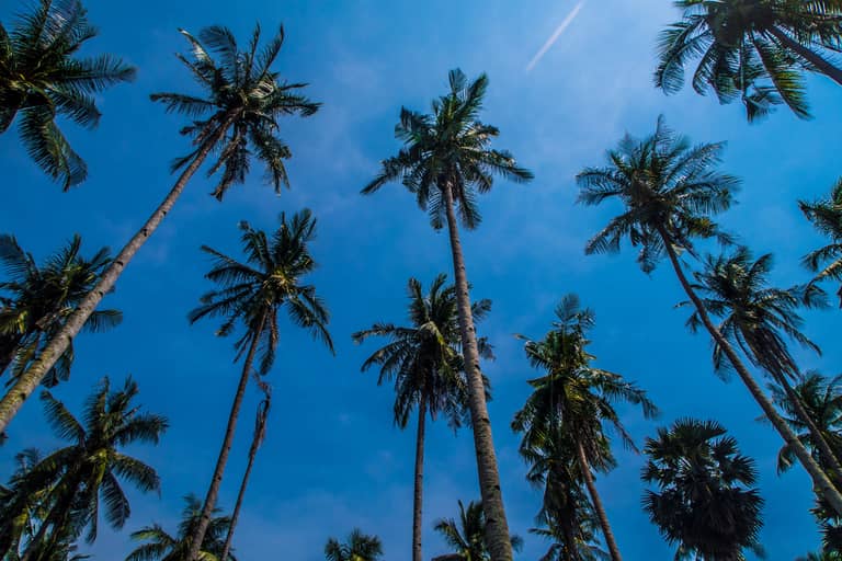 Koh Lanta, Thailand - 2018-04 (17 of 25).jpg