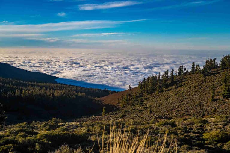 tenerife 2019 194 of 336