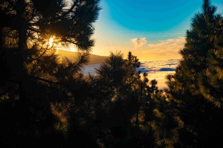 tenerife 2019 196 of 336