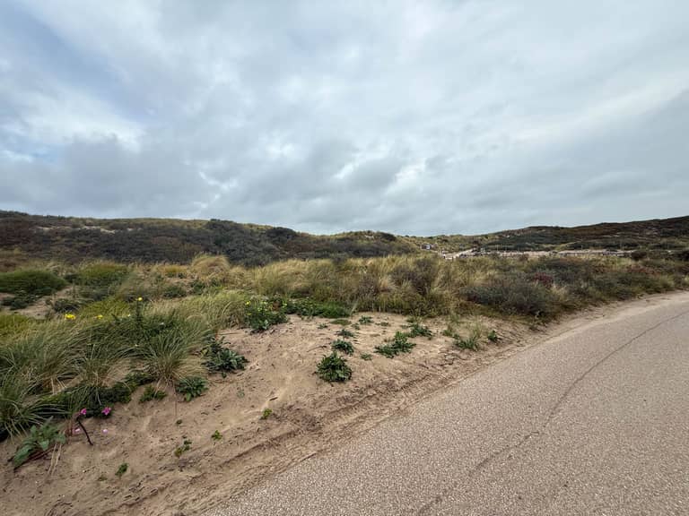 Duingebied Solleveld