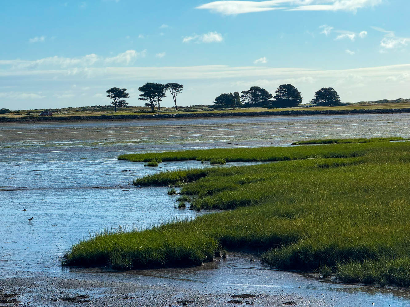 Baldoyle Bay