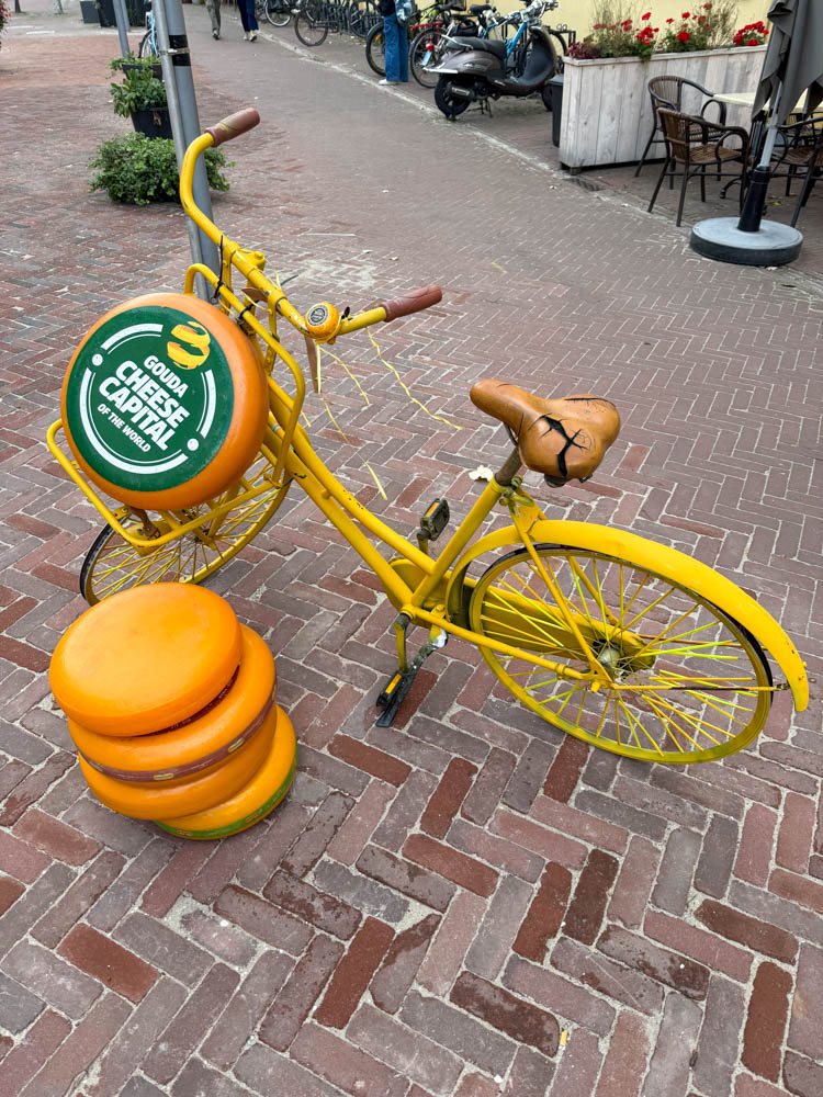 Gouda